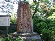 �X�k�v����̎R���΋��̓��e�ʐ^1