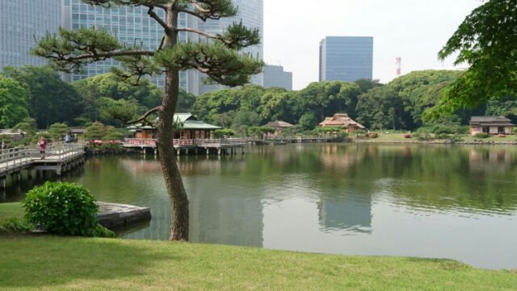 東京の公園 庭園ランキングtop10 じゃらんnet