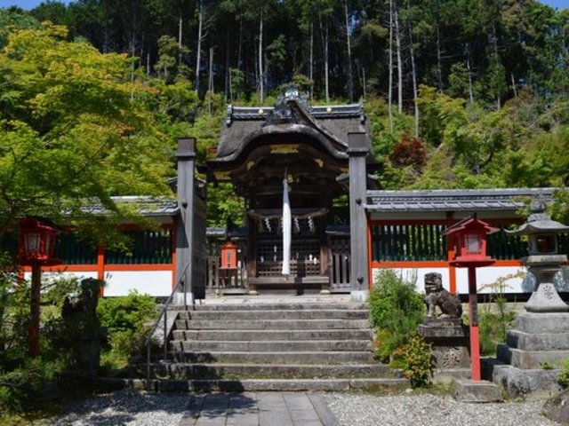 傫͂܂񂪁AfGłB_LR_