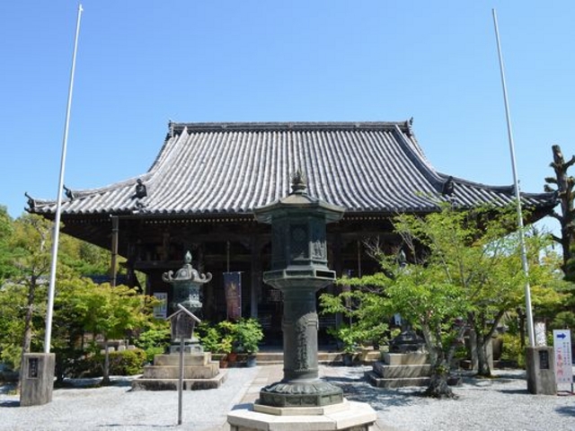 ӂɔrȂ̂ŁAʐ^ł͂킩܂񂪁A傫ȌłB_