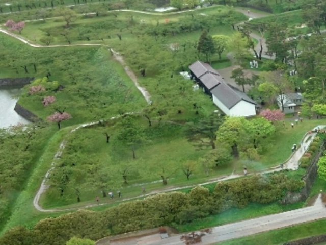 �V��_�ܗŊs����