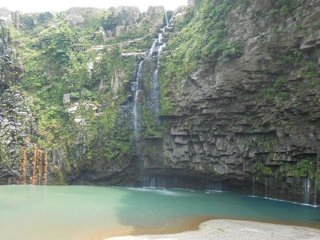 �Y��̑�������璭�߂�_�Y��̑�