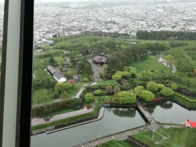 ���ꂢ_�ܗŊs��