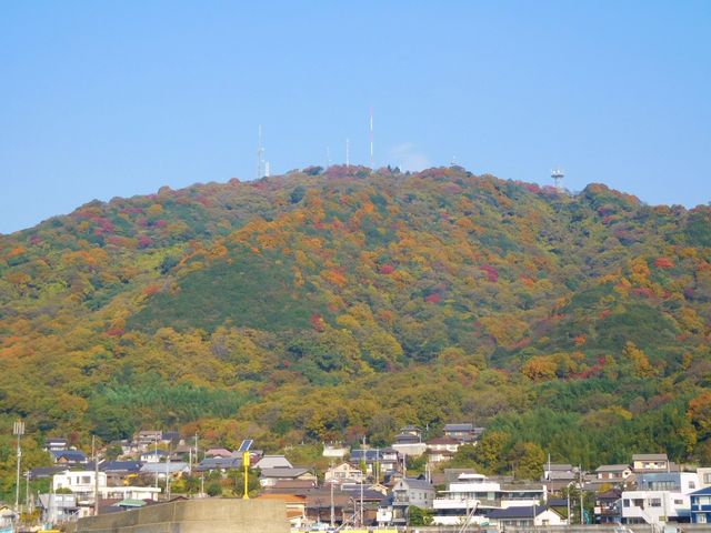 EGX^C[Xg̍iR}sj̓eʐ^1