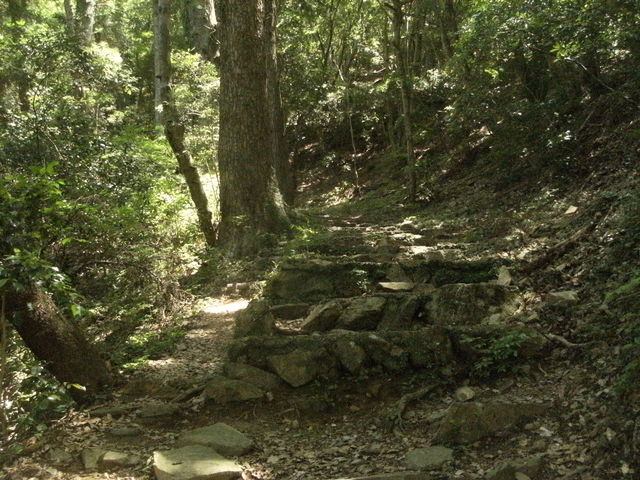 �狍�R�̓o�R��_�狍�R���R�A����