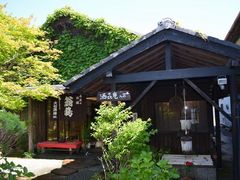 񂳂̑Ύ OgH̊فiT{X)ւ̓eʐ^1