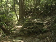 ibokororỉ狍RRA̓eʐ^1