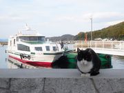 EGX^C[Xg̐^瓇̓eʐ^1