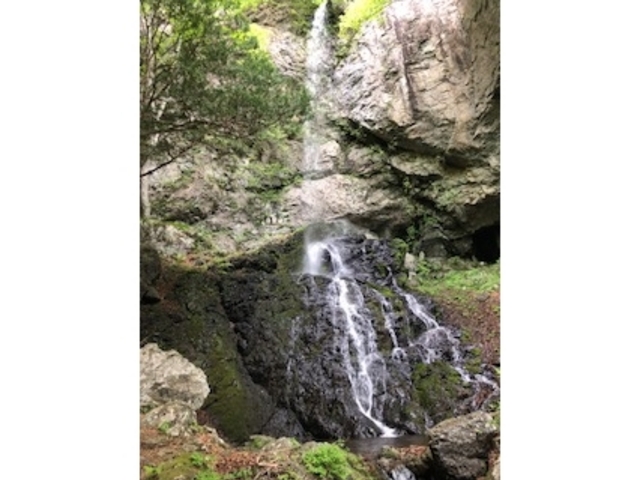 ��������̎O��R�̓��e�ʐ^1