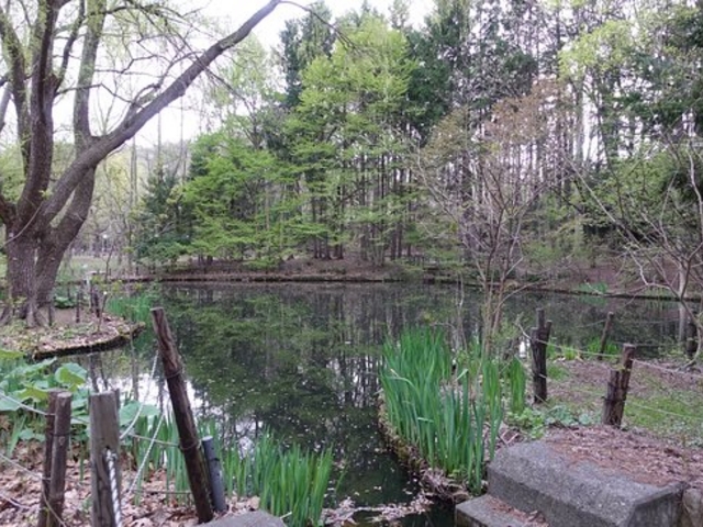 �~�R����_�~�R����