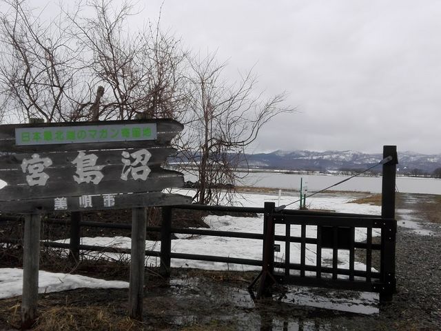 �{����_�{����