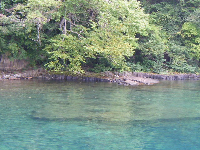 �x┌΁A�G�������h�u���[�̌�_�x┌Ίό��D