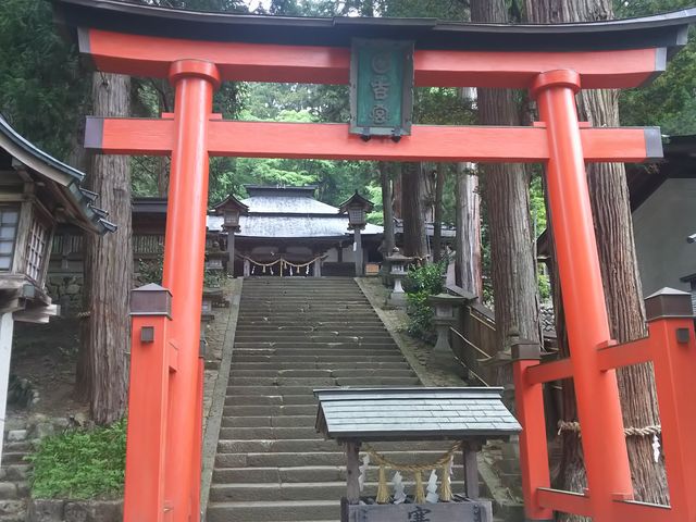 階段の上にお社、その右側に大杉があります。_日枝神社（岐阜県高山市）
