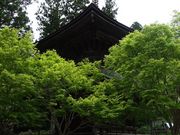 �C�I������̋��֓��̓��e�ʐ^1