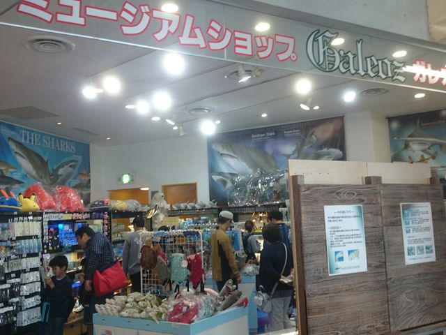 X_ANA[h 錧 ~[WAVbvKIX