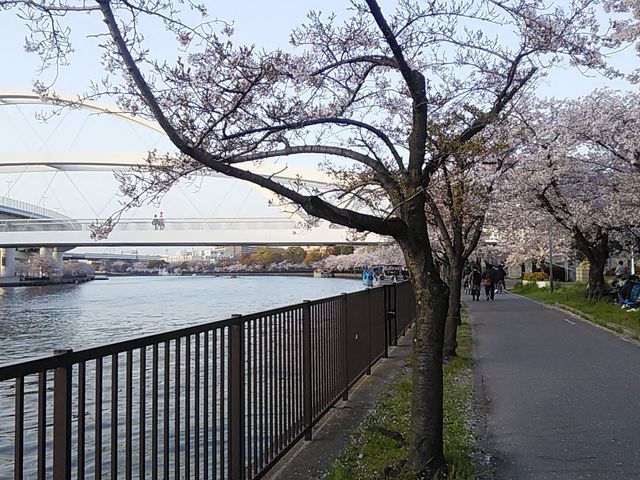 �[�n_�єn���V�{����