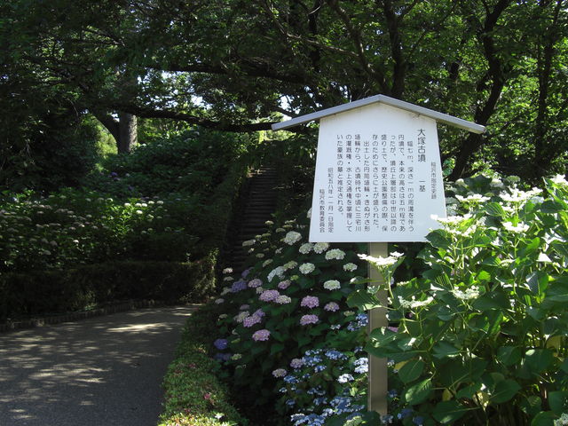 ��ˌÕ�_��ˌÕ�