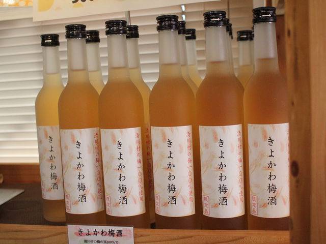 きよかわ梅酒!_道の駅 清川