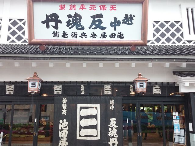 ꂨ񂳂̌NV s̓eʐ^2