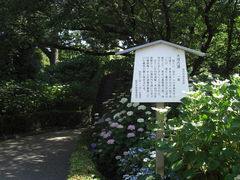 �߂��ڂڂ���̑�ˌÕ��ւ̓��e�ʐ^1