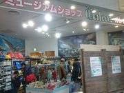 ꂨ񂳂̃ANA[h 錧 ~[WAVbvKIX̓eʐ^2