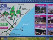 ꂨ񂳂݂̂sXь̓eʐ^1