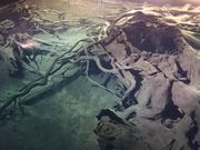 ꂨ񂳂̋Övт̓eʐ^5