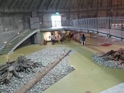 ꂨ񂳂̋Övт̓eʐ^7