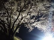 [̂ӂ邳ƕ`R[X̓eʐ^1