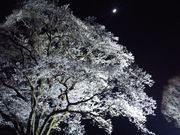 [̂ӂ邳ƕ`R[X̓eʐ^2