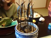 ꂨ񂳂̏쉷򋽂̓eʐ^4