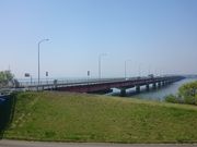 ꂨ񂳂̉PY勴̓eʐ^1