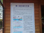 ꂨ񂳂̊όDƂ̓eʐ^2