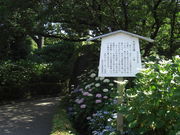 �߂��ڂڂ���̑�ˌÕ��̓��e�ʐ^1