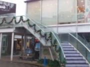 pl̃uWF쉮 RuX̓eʐ^1