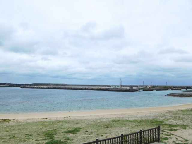 ꂢǁAʂꂢłȂłB_i^l