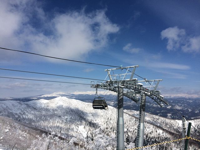 �ŐV�������t�g�̓t�[�h�t���Ŋ����Ȃ�_�T�z�����]�[�g�X�L�[��