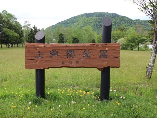 �ΔȂ̌���_�㈰�ʌ���