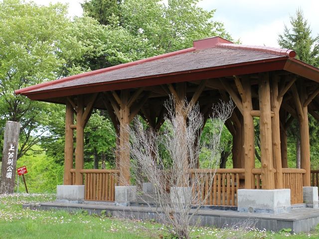 ����_�㈰�ʌ���