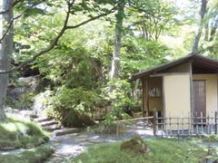 ワンコインでお抹茶を 箱根強羅公園 白雲洞茶苑の口コミ じゃらんnet