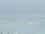 �ҁ[�̂���̂ɂ��R�W�]��̓��e�ʐ^1