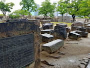 marimari̍΍L̓eʐ^1