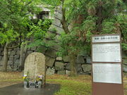 marimari̖LbGEa玩n̒n̔̓eʐ^1