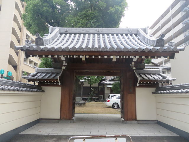 Ԃ񂳂̖@򎛂̓eʐ^2