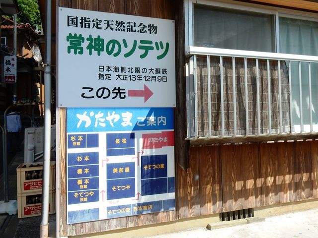 w-masȁ_̃\ec̓eʐ^3