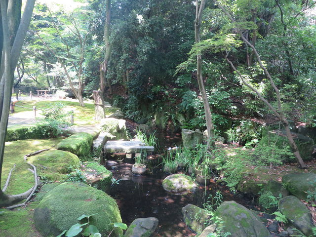 ����_�F�������