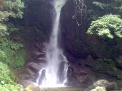 花ちゃんさんの花乱の滝の投稿写真2