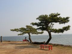 �܂܂ς񂾂���̓���_�Ђւ̓��e�ʐ^1