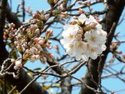 w-masa̓ޗǒÒ̍̓eʐ^1