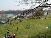 w-maså}݂Ȃƌ̓eʐ^3